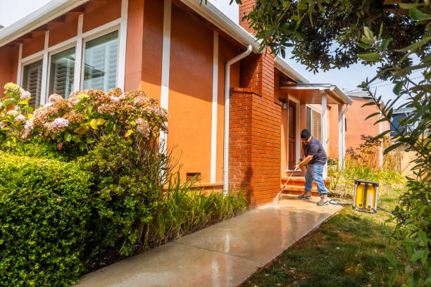 Best Affordable Power Washing  in Dunlap, OH